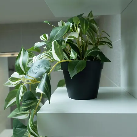 Appt T3 Résidence La Belle Eugénie